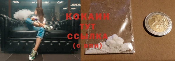 дмт Снежногорск