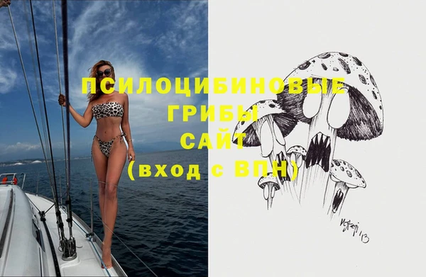 дмт Снежногорск