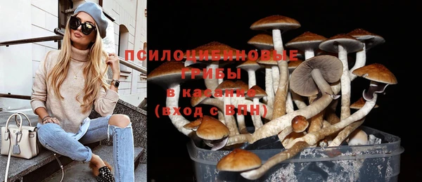 PSILOCYBIN Снежинск