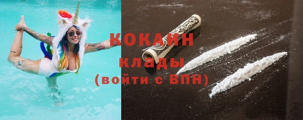 дмт Снежногорск