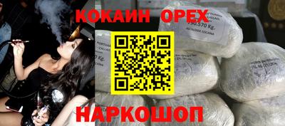 индика Гатчина