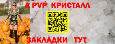 индика Гатчина