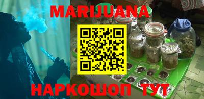 индика Гатчина