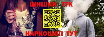 индика Гатчина