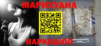 индика Гатчина