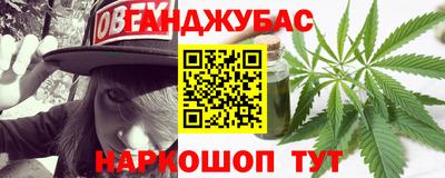индика Гатчина