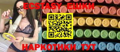 индика Гатчина