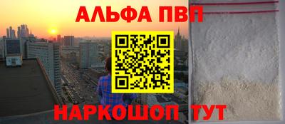 индика Гатчина