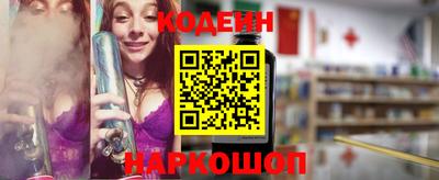 индика Гатчина