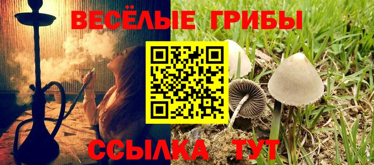 Псилоцибиновые грибы мицелий Благодарный