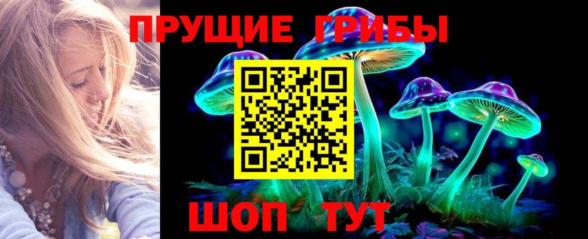 Благодарный  Псилоцибиновые грибы мухоморы  Вход с VPN  Псилоцибиновые грибы Psilocybe 